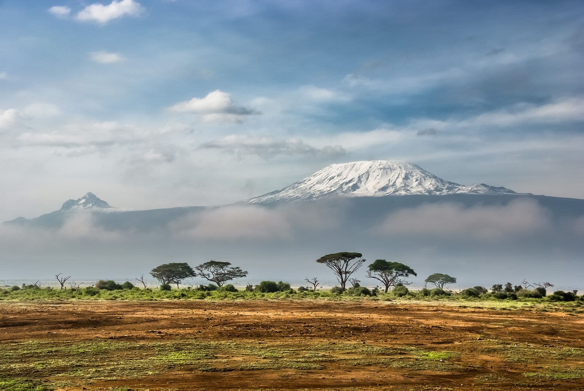 Snow-capped Kilimanjaro rising above clouds beyond the flat plains and trees of Amboseli