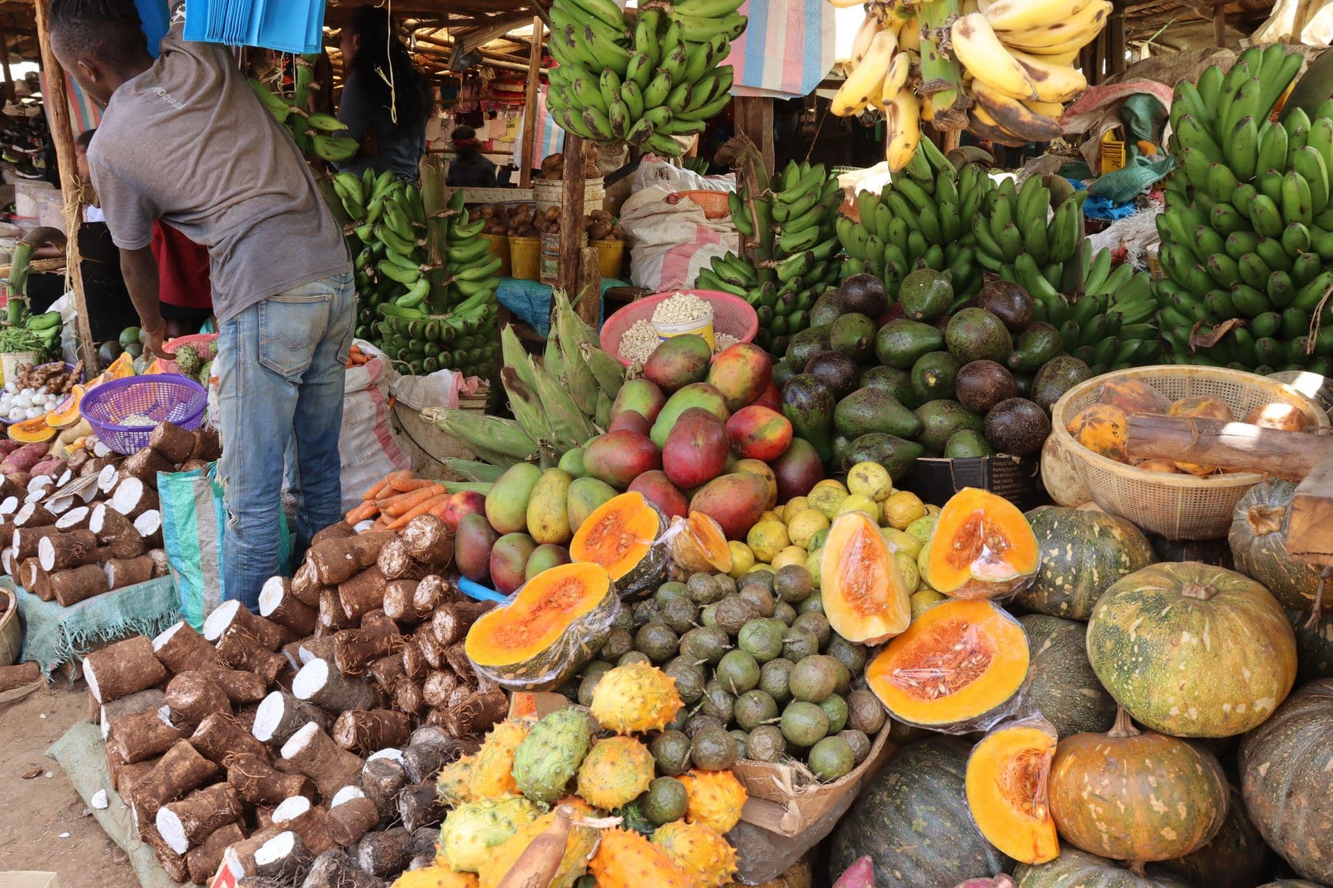 A market stall piled with bananas, papayas, avocados and other fruit