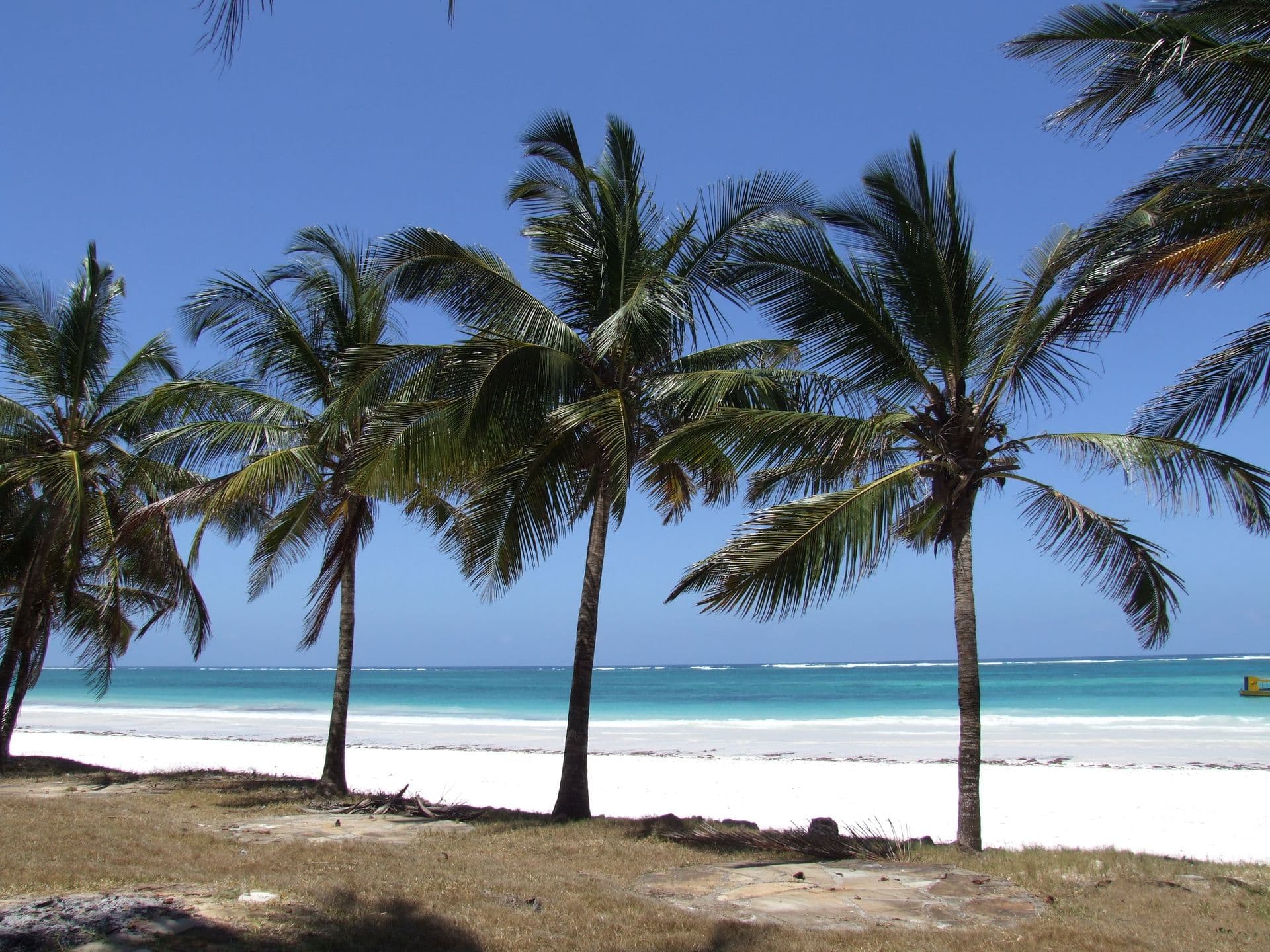 Tall coconut palms leaning over white sand and turquoise water at Diani Beach