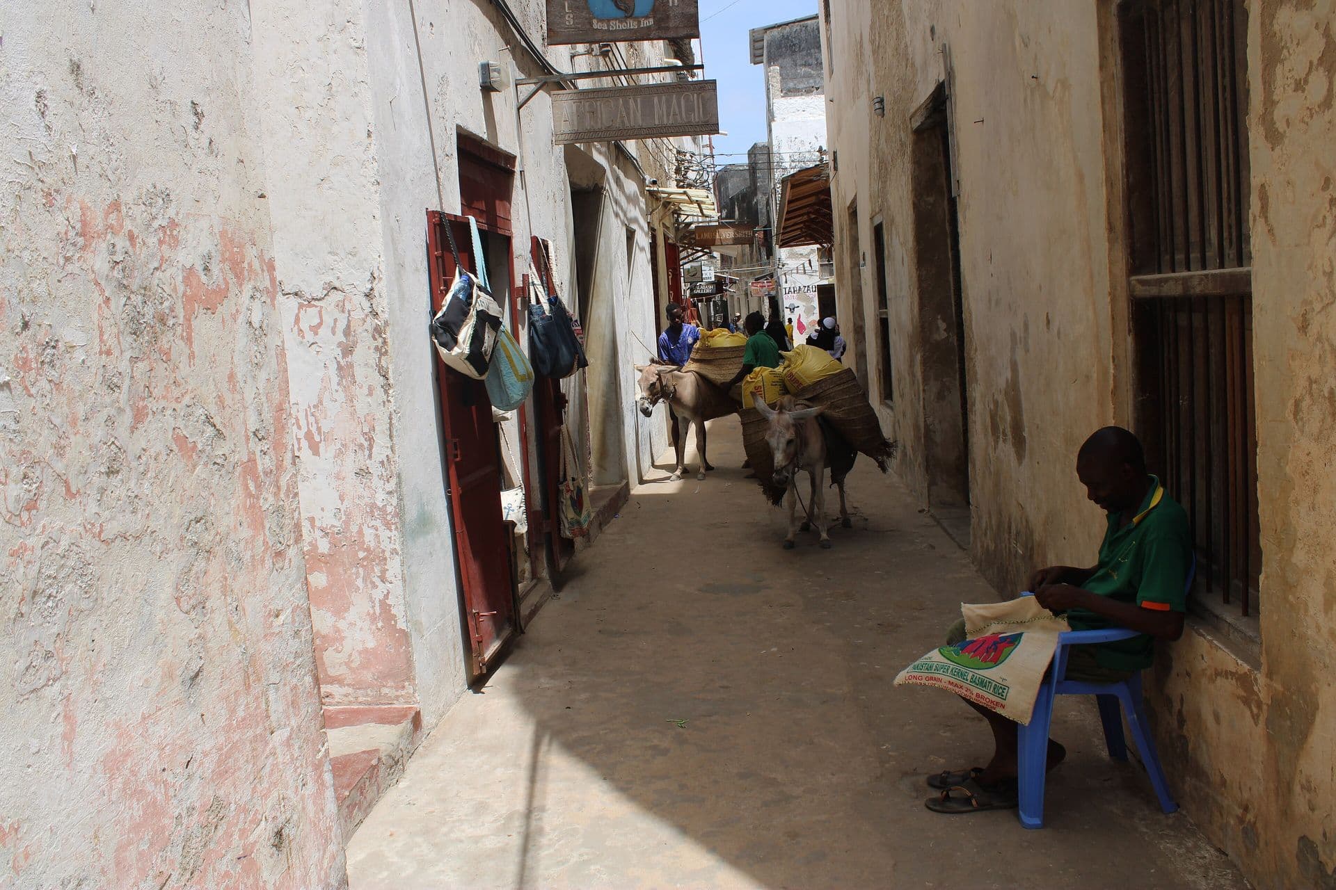 A narrow stone alley in Lamu Old Town with a donkey and a man seated in a doorway